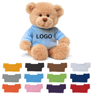 Teddy bear with t shirt