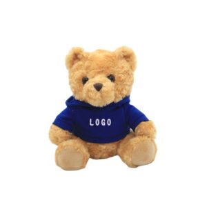 Teddy bear with hoodie