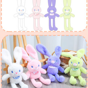 Bunny Plushies Keyring