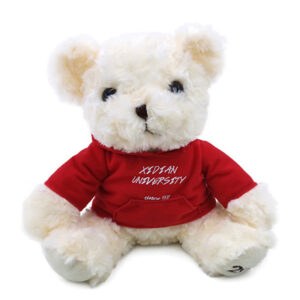 Teddy bear with hoodie