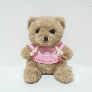 Teddy bear with hoodie