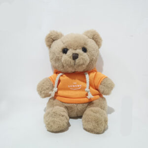 Teddy bear with hoodie
