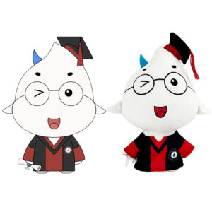 Graduation Doctor Doll