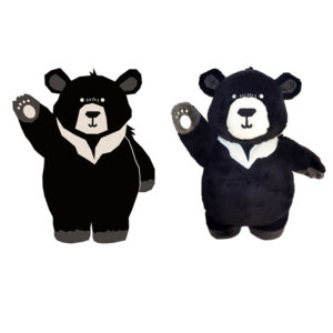 Bear Plushies Doll